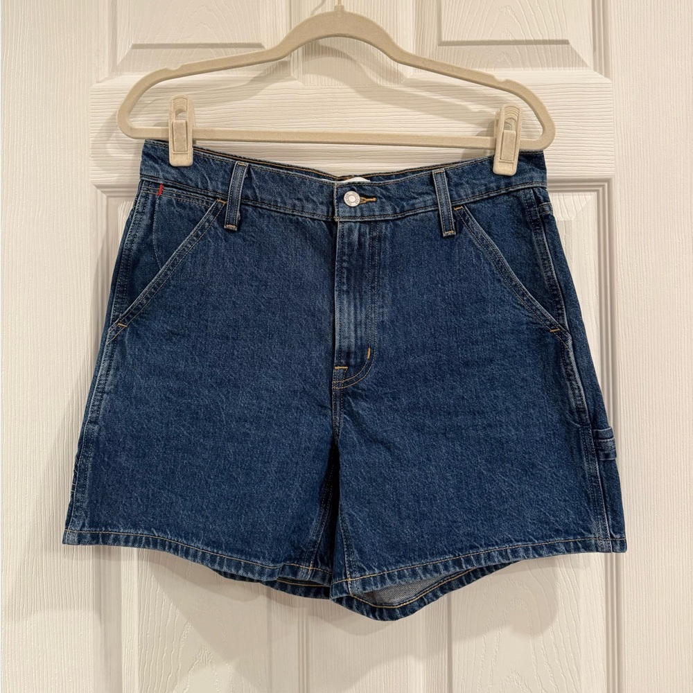 Aritzia Classic Blue Jean Shorts
